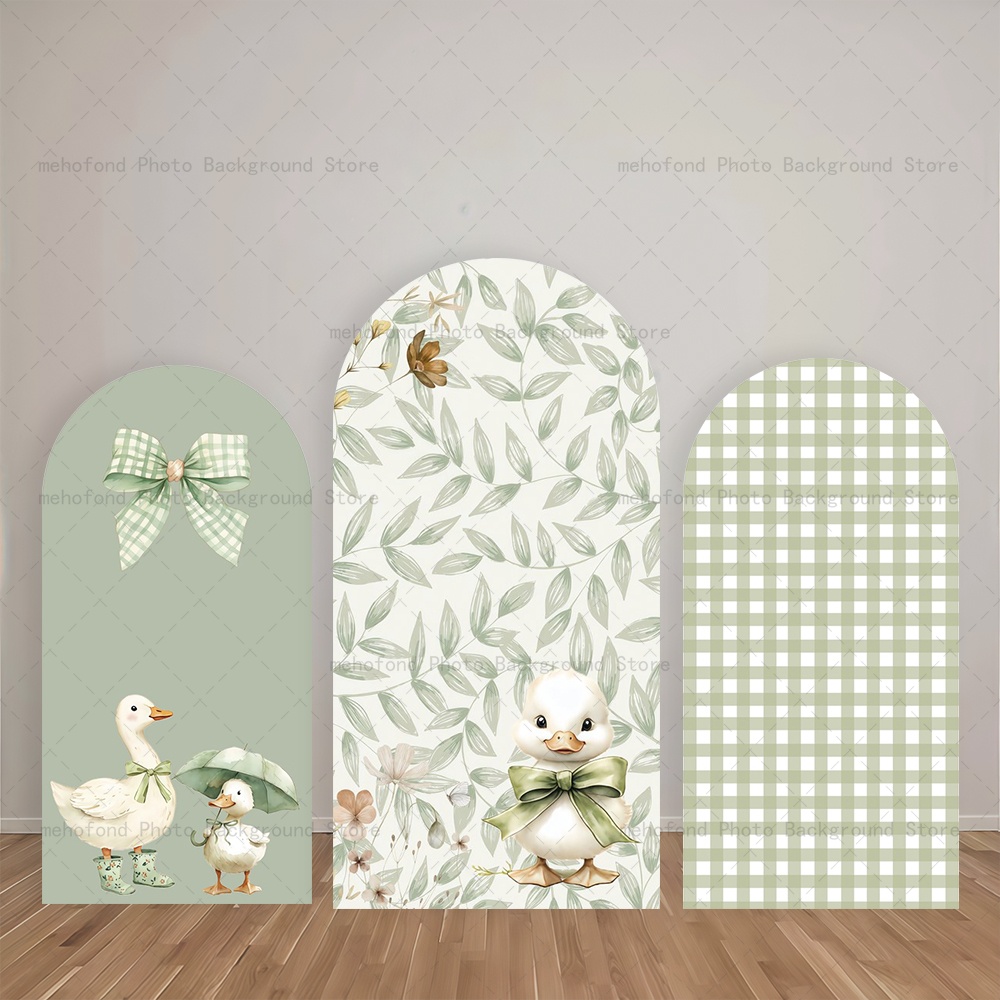 Photography Lighting And Backdrop - Mehofond Arch Backdrop Fresh Light Green