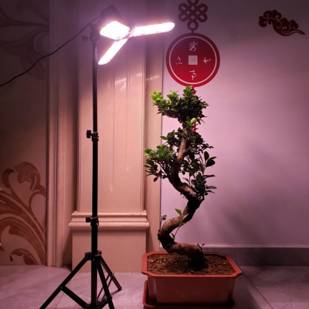Light Bulb Stand 2M, E27 AC So - đánh giá và giá Photography Lighting Mount