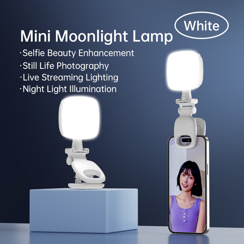 Portable LED Selfie Light Came - đánh giá và giá Photography Lighting Tool
