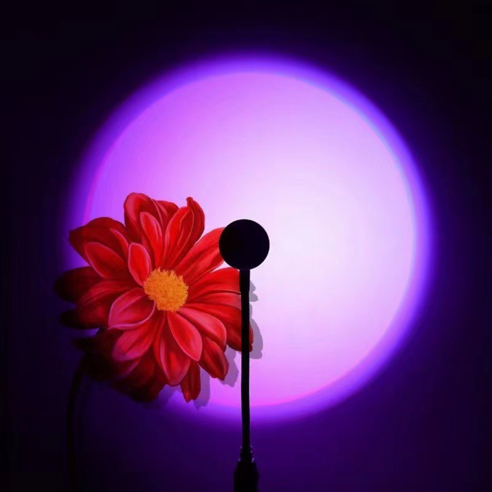 LED RGB Sunset Projection Lamp - đánh giá và giá Photography Lighting Mood